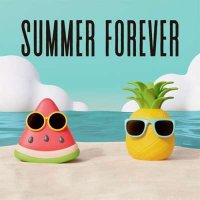 VA - Summer Forever (2024) MP3
