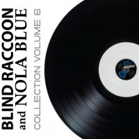 VA - Blind Raccoon and Nola Blue Collection, Vol. 6 (2024) MP3