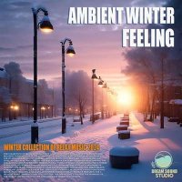 VA - Ambient Winter Feeling (2024) MP3