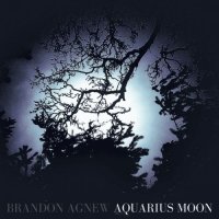 Brandon Agnew - Aquarius Moon (2024) MP3