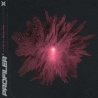 Profiler - A Digital Nowhere (2024) MP3