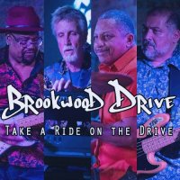 Brookwood Drive - Take A Ride On The Drive (2024) MP3
