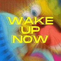 VA - Wake Up Now (2024) MP3