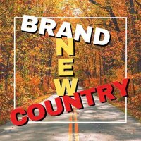 VA - Brand New Country (2024) MP3