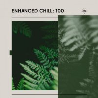 VA - Enhanced Chill: 100 (2024) MP3