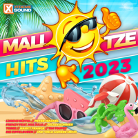 VA - Mallotze Hits 2023 (2023) MP3