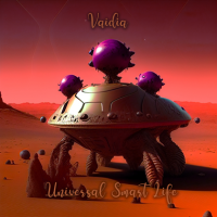 Vaidia - Universal Smart Life (2023) MP3