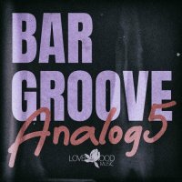 VA - Bar Groove Analog 5 (2024) MP3