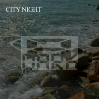 VA - City Night (2024) MP3