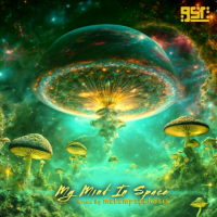VA - My Mind In Space (2024) MP3