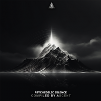 VA - Psychedelic Silence (2024) MP3