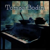 Tomas Bodin - Ambient Cooking (2024) MP3