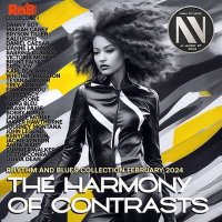 VA - The Harmony Of Contrasts (2024) MP3