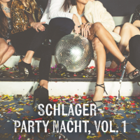 VA - Schlager-Party Nacht (2024) MP3
