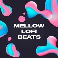 VA - Mellow Lofi Beats (2024) MP3