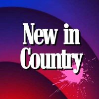 VA - New In Country (2024) MP3