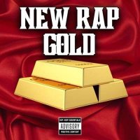 VA - New Rap Gold (2024) MP3