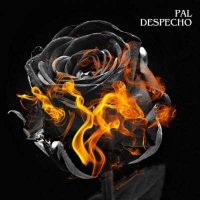 VA - Pal Despecho (2024) MP3