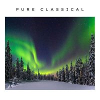 VA - Pure Classical (2024) MP3