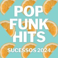 VA - Pop Funk Hits - Sucessos (2024) MP3