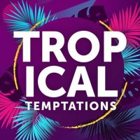 VA - Tropical Temptations (2024) MP3