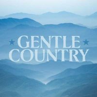 VA - Gentle Country (2024) MP3