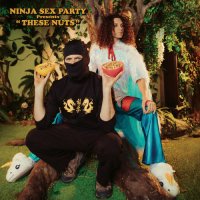 Ninja Sex Party - These Nuts (2024) MP3
