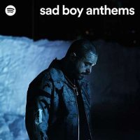 VA - Sad Boy Anthems (2024) MP3