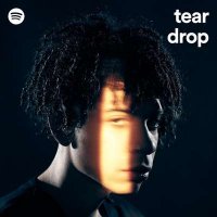 VA - Tear Drop (2024) MP3