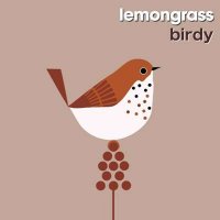 Lemongrass - Birdy (2024) MP3