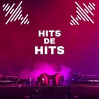 VA - Hits De Hits (2024) MP3