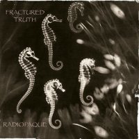 Fractured Truth - Radiopaque (2024) MP3