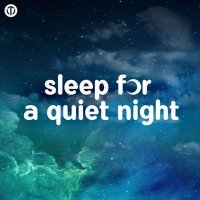 VA - Sleep For A Quiet Night (2024) MP3