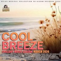 VA - Cool Breeze (2024) MP3