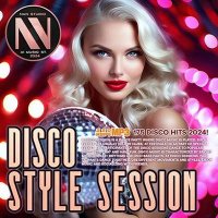 VA - Disco Style Session (2024) MP3