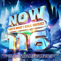 VA - NOW That's What I Call Music! Vol. 116 [2CD] (2023) MP3