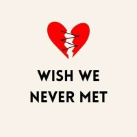 VA - Wish We Never Met (2024) MP3