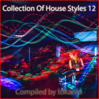 VA - Collection Of House Styles 12 [Compiled by tokarilo] (2024) MP3