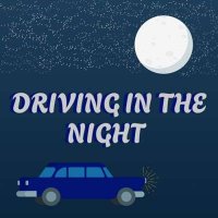 VA - Driving In The Night (2024) MP3