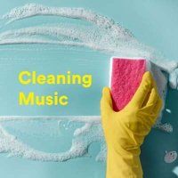 VA - Cleaning Music (2024) MP3
