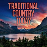 VA - Traditional Country Today (2024) MP3