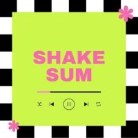 VA - Shake Sum (2024) MP3