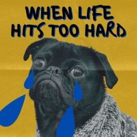 VA - When Life Hits Too Hard (2024) MP3