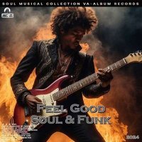 VA - Feel Good Soul & Funk (2024) MP3