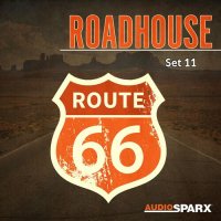 VA - Roadhouse Set 11 (2021) MP3