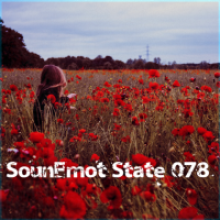 VA - SounEmot State [78] (2024) MP3