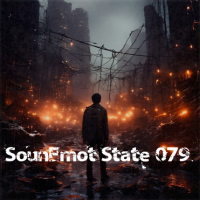 VA - SounEmot State [79] (2024) MP3