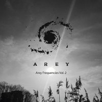 VA - Arey Frequencies [02] (2024) MP3