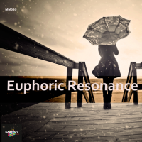 VA - Euphoric Resonance (2024) MP3