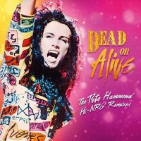 Dead Or Alive - The Pete Hammond Hi-NRG Remixes (2024) MP3